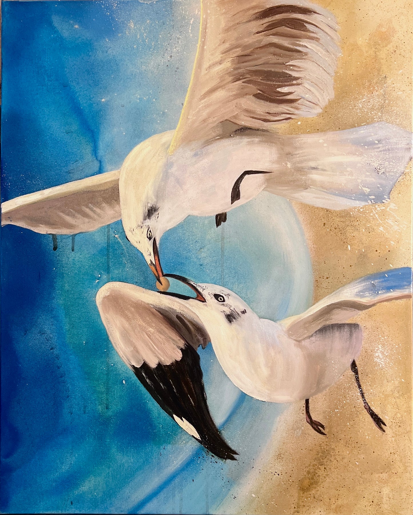 "Nurturing Seagull" Framed Canvas Print