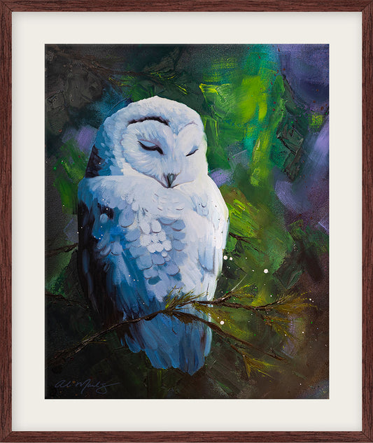 "Owl | The Visionary" Fine Art Print