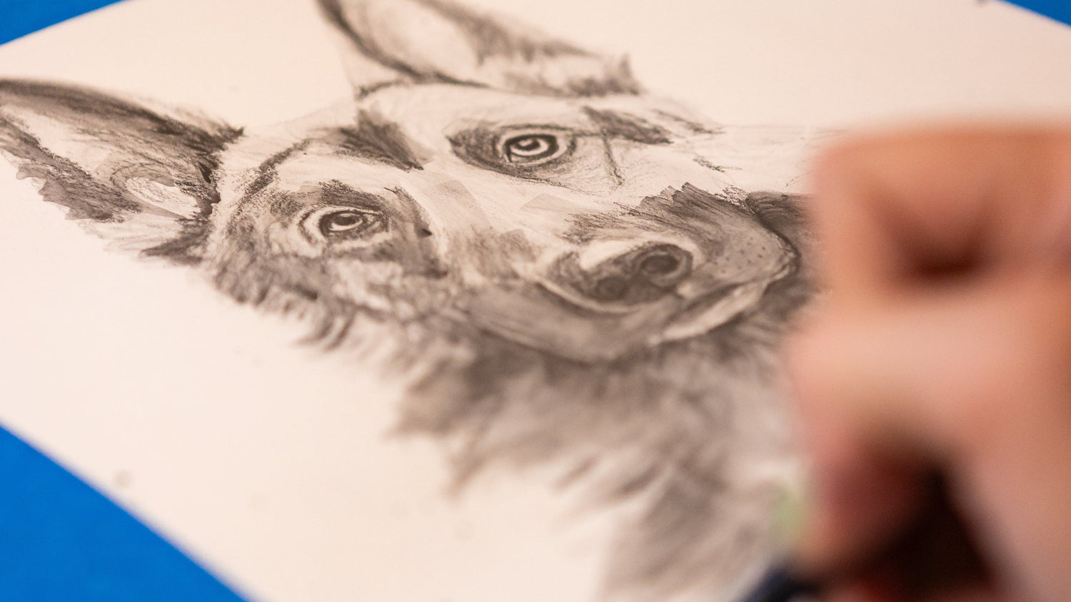 Person drawing a dog's face on paper with blue tape border