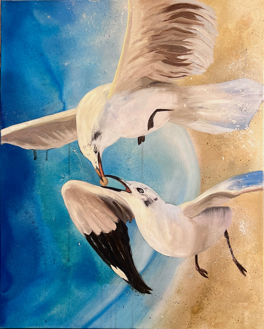 "Nurturing Seagull" Framed Canvas Print